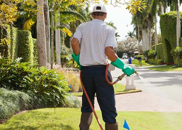About Bentley KS Pest Control Pros